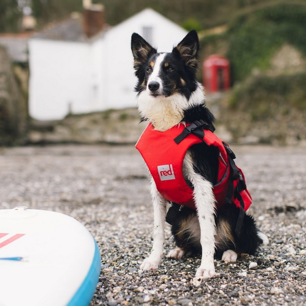 Aide à La Flottabilité Pour Chien Red Paddle Co 2024 - Rouge